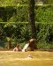 036-furnas_nuoruuden_suihkulahde
