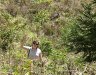 050-lagoa_do_fogo_henna_puskassa