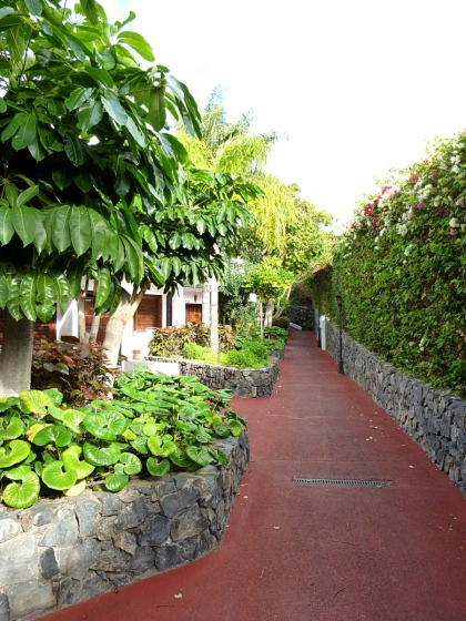 05-polku_bungaloweille