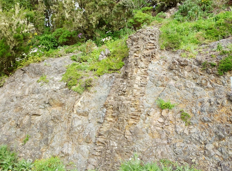 24-purkauskanava