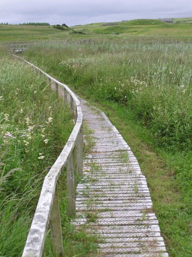 31-finlaggan_walkway