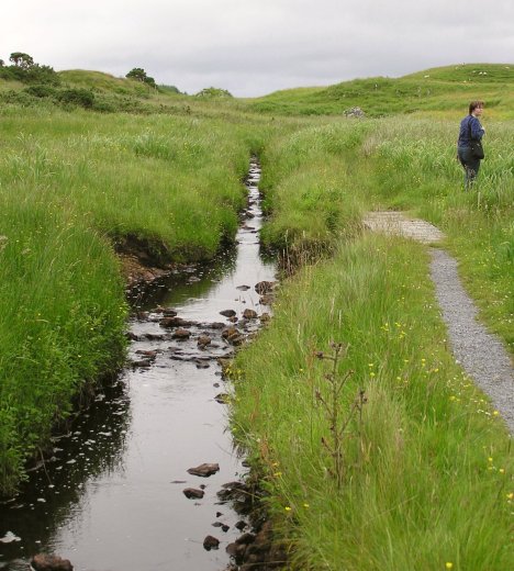 32-finlaggan_stream