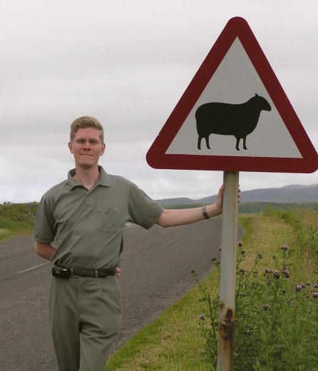 53b-sheep