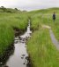 32-finlaggan_stream