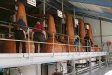 42-laphroaig_still_room