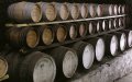 51-bruichladdich_immature