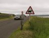 53-sheep_beware