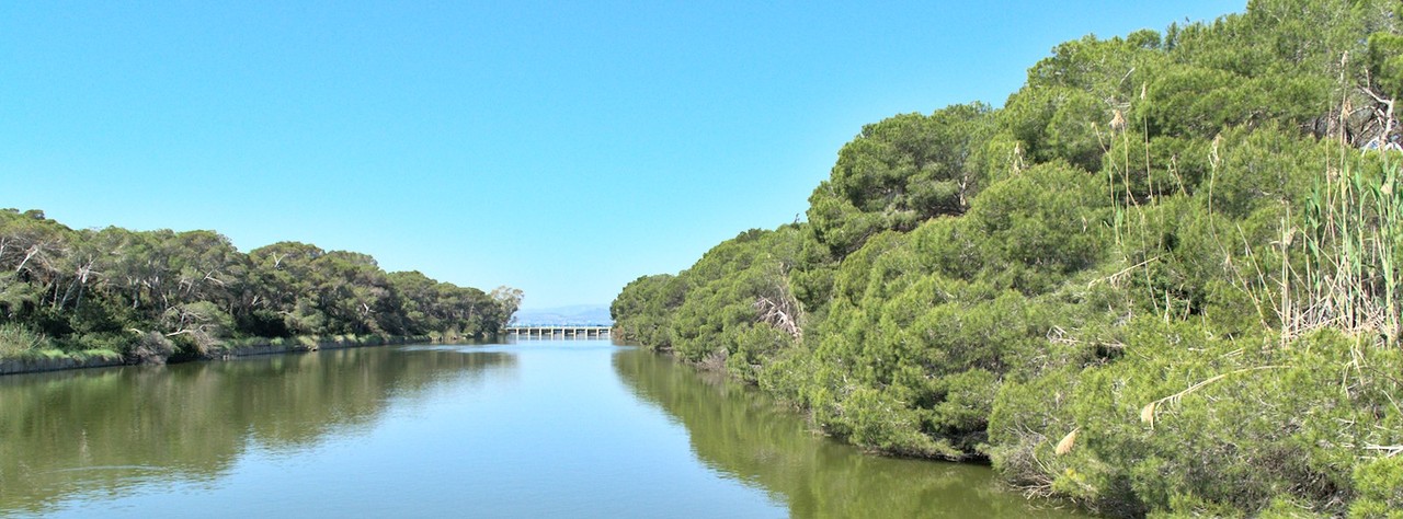 Image albufera-river-at-middle-of-wetlands.jpg