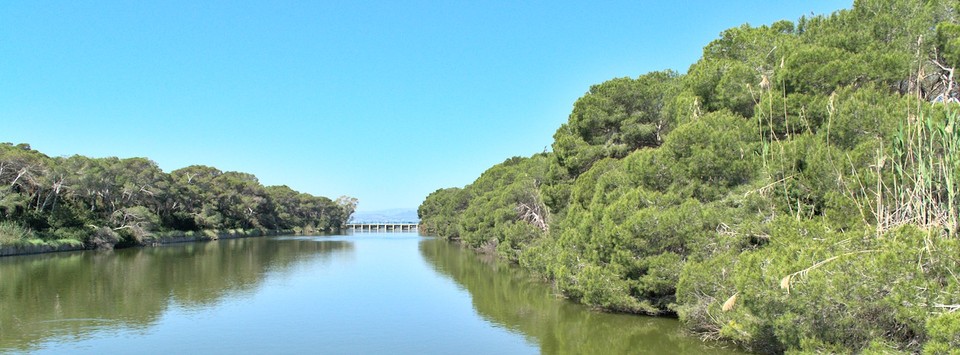 Image albufera-river-at-middle-of-wetlands.jpg