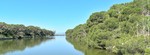 albufera-river-at-middle-of-wetlands thumb