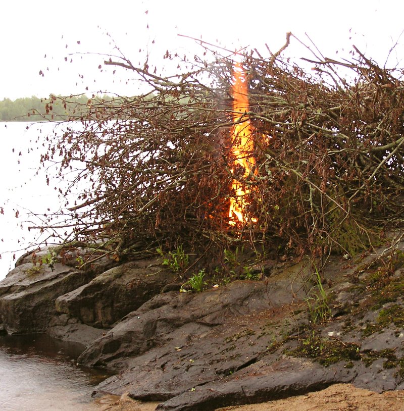 roihukokko1