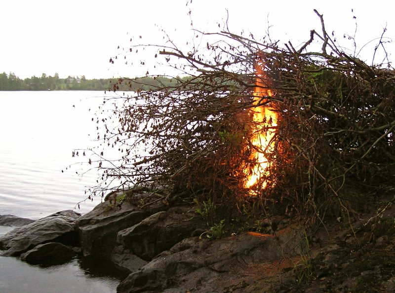 roihukokko2